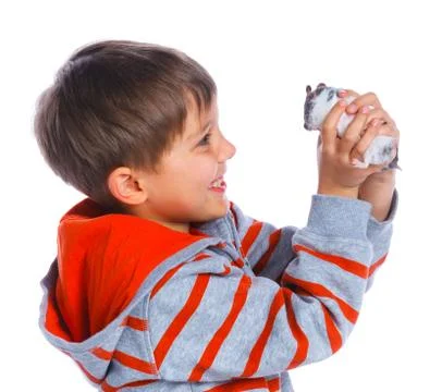 Cute boy with hamster 写真素材