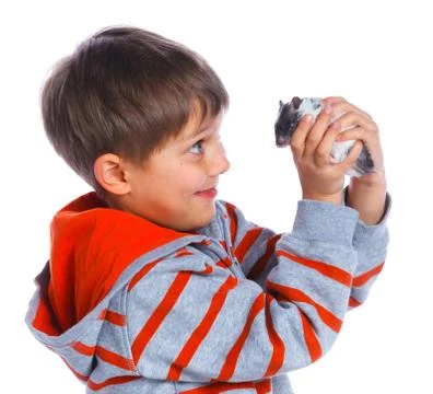 Cute boy with hamster 写真素材