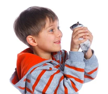 Cute boy with hamster Photos