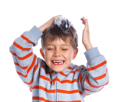 Cute boy with hamster Stock-Fotos
