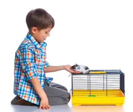 Cute boy with hamster 스톡 사진