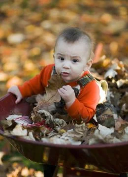 Cute boy holding a leaf Foto stock