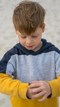 A cute boy holds a small bug on his hand and examines it carefully Stock Photos