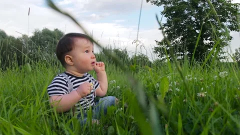 Cute boy, little son, on the grass, studying the grass in a city park on a warm Stock Footage 135468059
