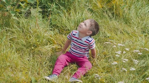 Cute boy lying down on back on green grass at meadow Stock Footage 78633385