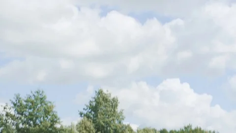 Cute boy lying down on back on green grass at meadow Stock Footage 78633513