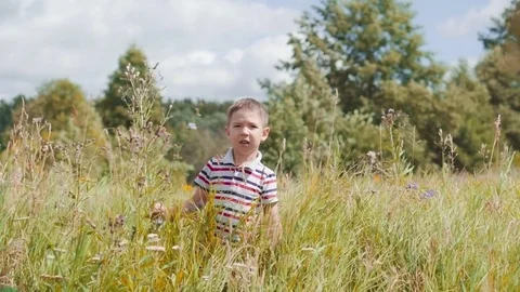 Cute boy making his way through the tall grass at meadow Stock Footage 78633164