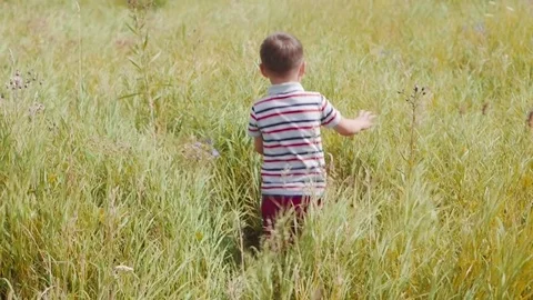 Cute boy making his way through the tall grass at meadow 動画素材 78633587