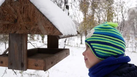 Cute boy peeks into bird feeder in winter Stock Footage 164325151