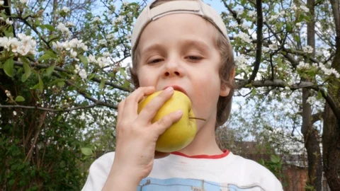 Cute boy in a plaid shirt eats an apple in the garden Stock Footage 129166674
