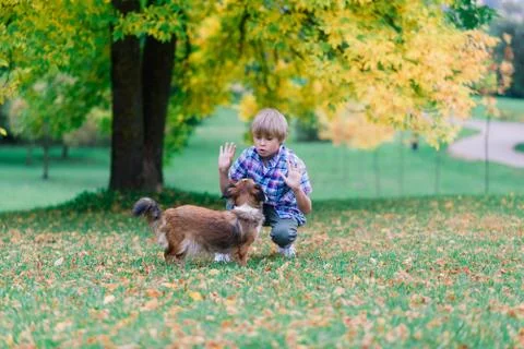 Cute boy playing and walking with his dog in a meadow. Stock Photos