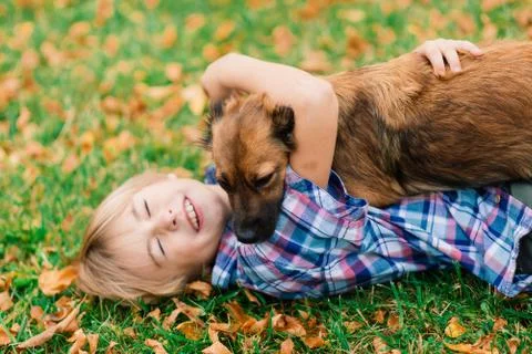 Cute boy playing and walking with his dog in a meadow. Stock Photos