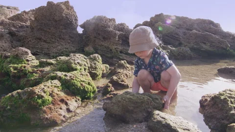 Cute boy playing with beach toys in the sand Stock Footage 247187646