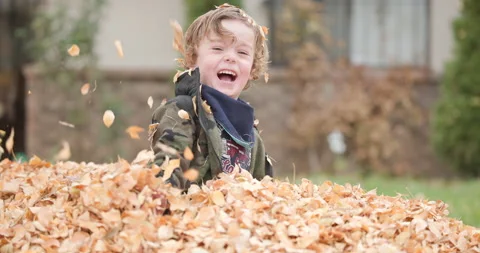 Cute Boy Playing in the Fall Leaves Stock Footage 230112381
