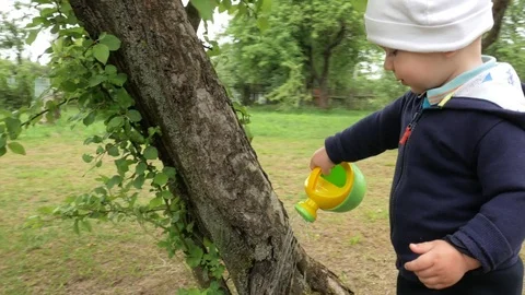 A cute boy pours a large tree from a small watering can. A kid in a blue bike Stock Footage 76975812