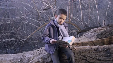 Cute boy reading book and is seating on tree 库存影片 172585065