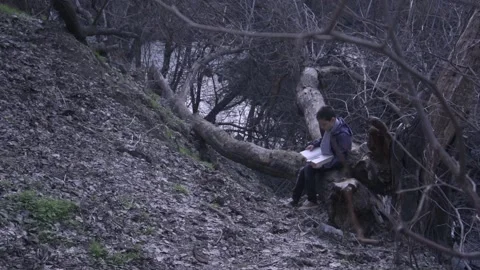 Cute boy reading book and is seating on tree 库存影片 172585086
