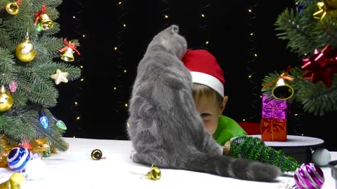 Cute boy in Santa Claus hat playing with cat near decorated Christmas trees Stock Footage 253299784