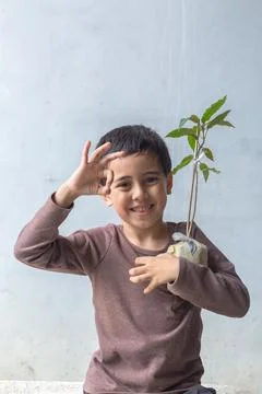 A cute boy sat hugging a tree on his chest. Stock Photos