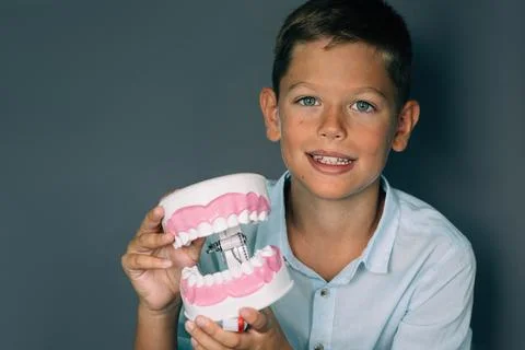 Cute boy showing model of teeth. Funny advertising child teeth treatment Stock Photos