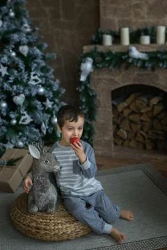 Cute boy sits and eats an apple near a Christmas tree Stock Photos