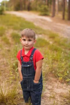 A cute boy in a summer park Stock Photos