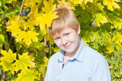 Cute boy in sunlight Stock Photos