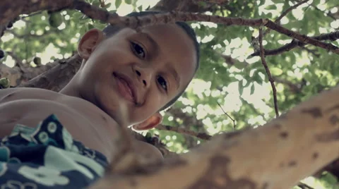 Cute boy on the tree Video stock 43092645