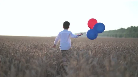 Cute boy walk in the wheat field with balloons. Stock Footage 157286245