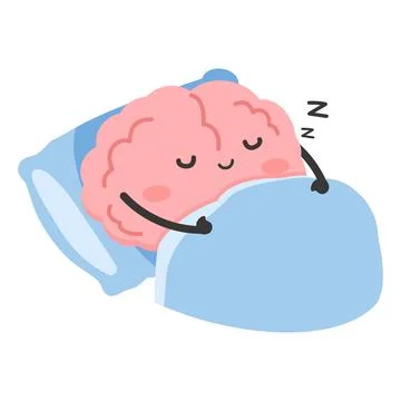 Cute Brain Sleeping Peacefully on Pillow Stock Illustration
