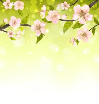 Cute Branches of Cherry Blossom Tree Illustrazione stock