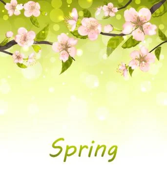 Cute Branches of Cherry Blossom Tree, Natural Background Illustrazione stock