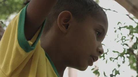 Cute Brazilian boy on the tree Stock-Footage 42975738