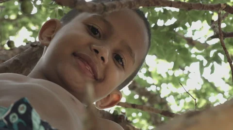 Cute Brazilian boy on the tree Stock Footage 43054046