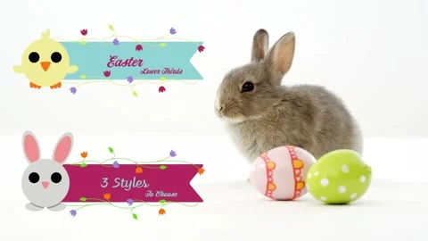Cute Bright Easter Lower Thirds After Effects stock