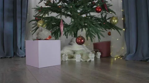 Cute british cat playing in a gift box with Christmas decoration. 库存影片 165947962