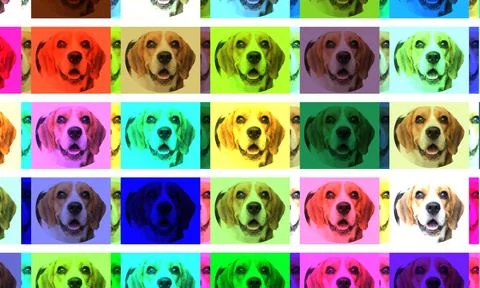 Cute brown beagle head pattern isolated on muti-color background. cute dog... Foto stock