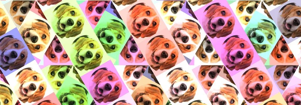 Cute brown beagle head pattern isolated on muti-color background. cute dog... Foto stock