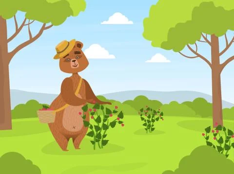 Cute Brown Bear in Straw Hat Collecting Raspberries from Bush into Wicker Basket Stock Illustration