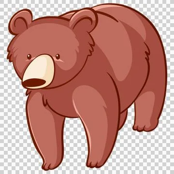 Cute brown bear walking on transparent background cartoon. Illustration