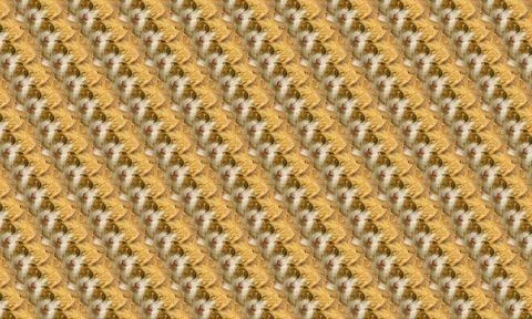 Cute brown cat head pattern isolated on muti-color background. cute cat. Se.. Stock Photos