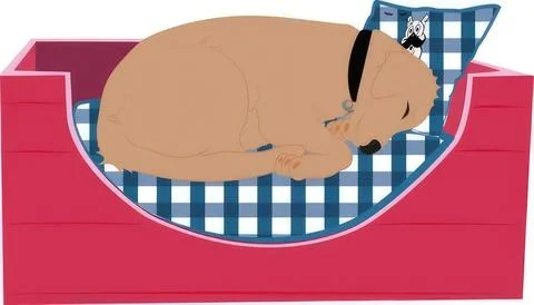 Cute brown dog sleeping on a bed with blue checkered sheets Stock Illustration