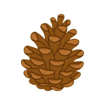 Cute brown pine cone. Hand drawn trendy flat style isolated. Stock Illustration