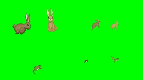 Cute brown rabbits jumping frogs and small wild birds flying around now 2d Stock Footage 334703201