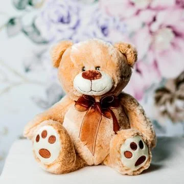 Cute brown teddy bear Stock Photos