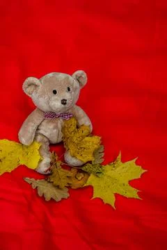 Cute brown teddy bear Stock Photos