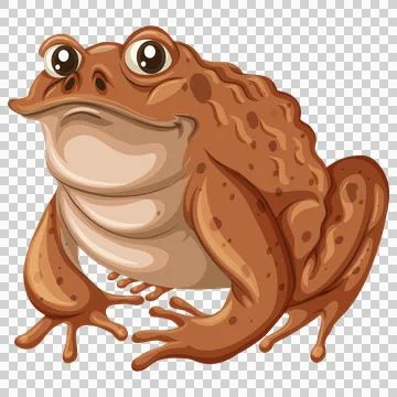 Cute brown toad cartoon character on transparent background. 库存插图