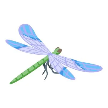 Cute bug icon isometric vector. Wing insect 스톡 일러스트