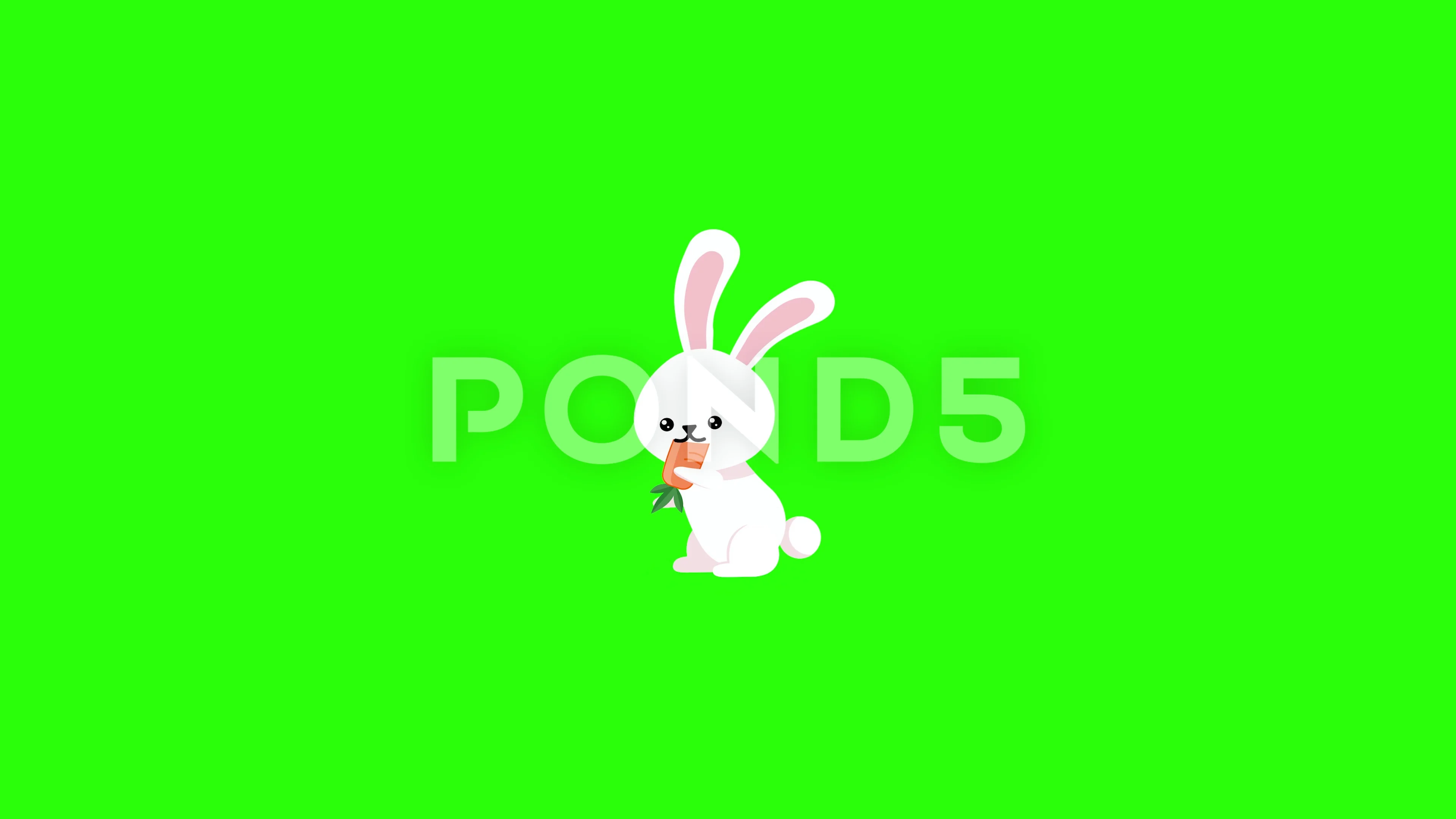 Cute Bunny Animation Eating a carrot Gre... | Stock Video | Pond5