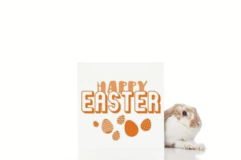 Cute bunny board happy easter Stock Illustration
